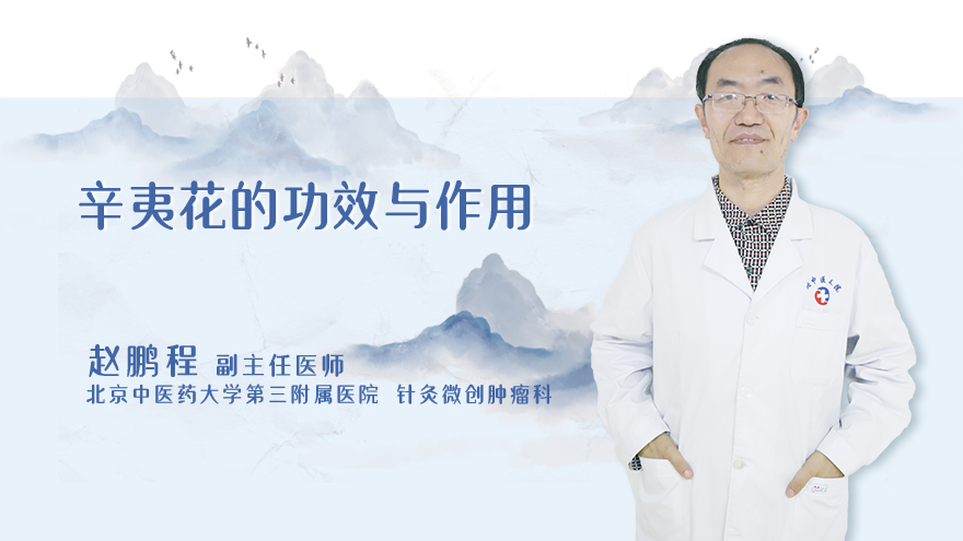 辛夷花的功效与作用