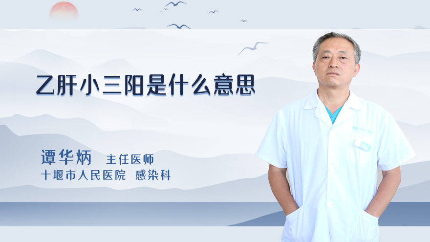 乙肝小三阳是什么意思