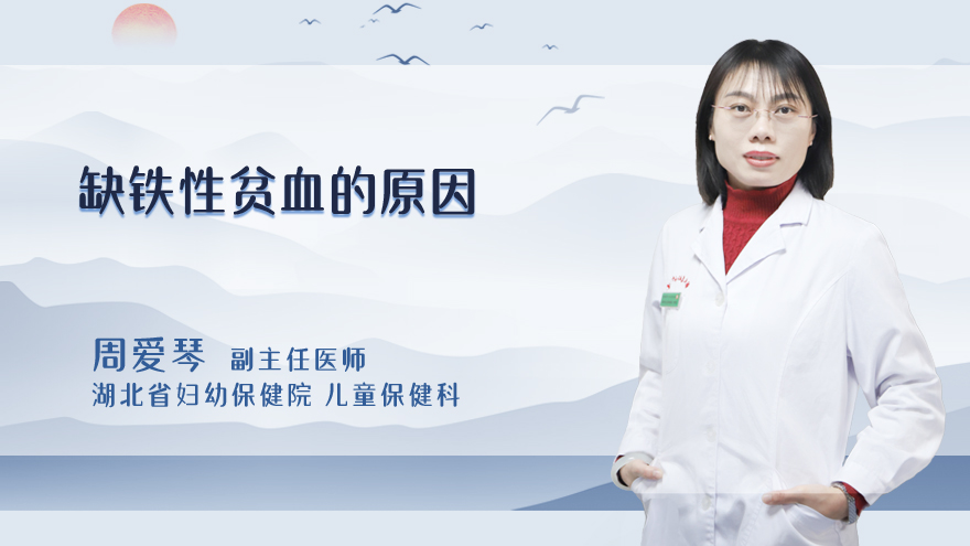 缺铁性贫血的原因