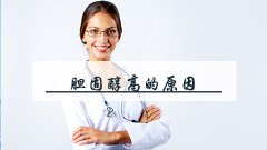 胆固醇高的原因