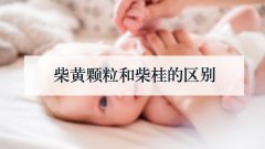 柴黄颗粒和柴桂的区别