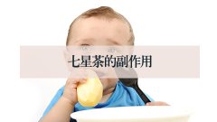 七星茶的副作用