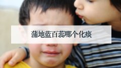 蒲地蓝百蕊哪个化痰