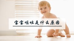 2岁宝宝呕吐是什么原因