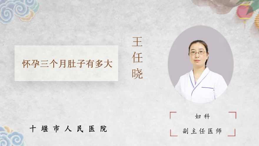 怀孕三个月肚子有多大