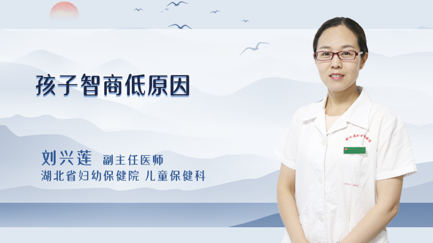 孩子智商低原因
