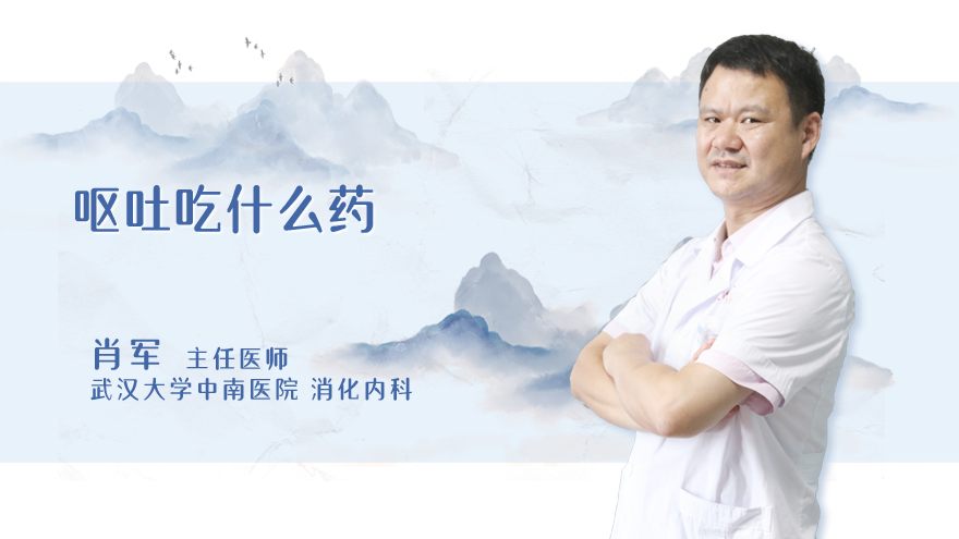 呕吐吃什么药