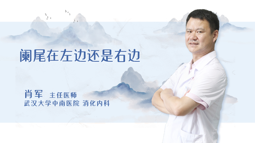 阑尾在左边还是右边