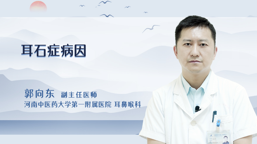 耳石症病因