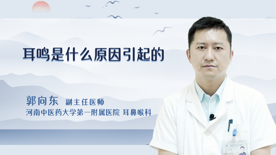 耳鸣是什么原因引起的