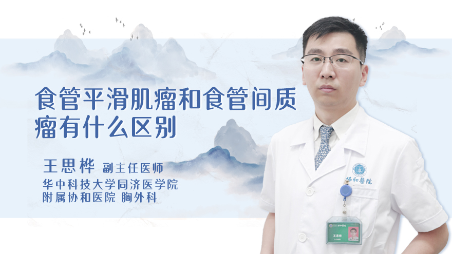 食管平滑肌瘤和食管间质瘤有什么区别
