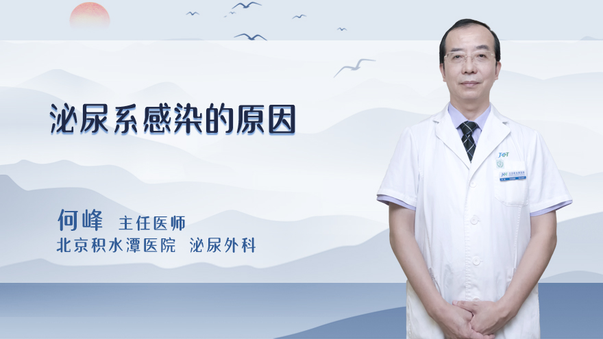 泌尿系感染的原因