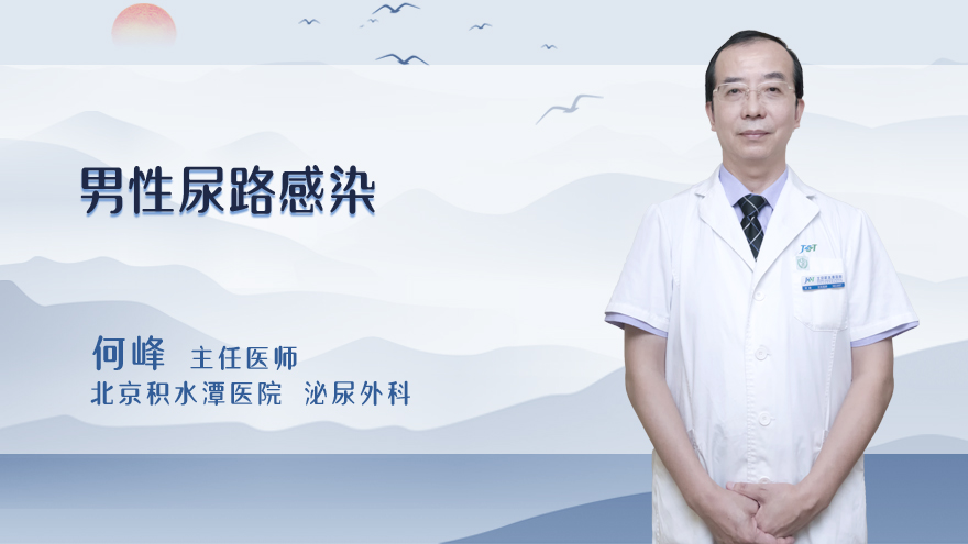 男性尿路感染
