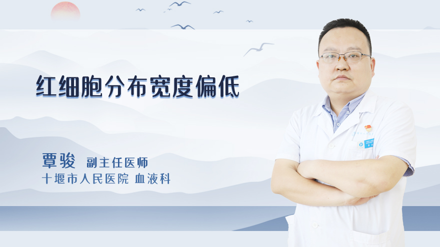 什么是红细胞分布宽度偏低
