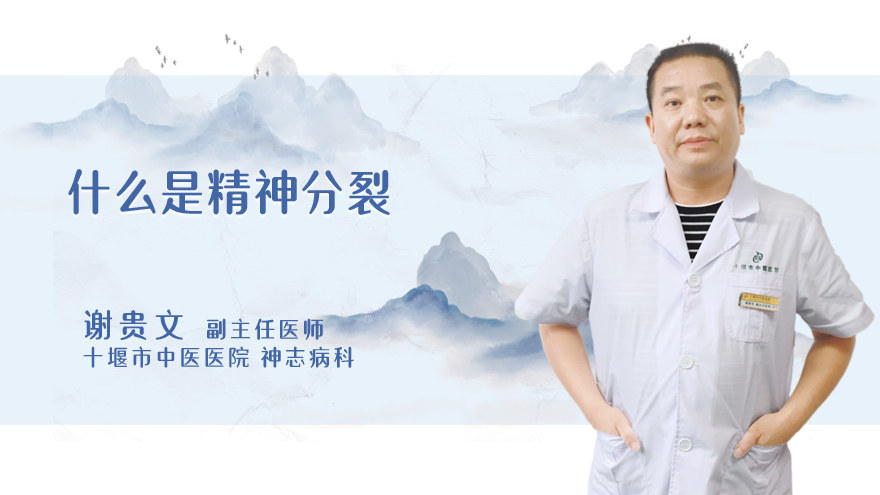 什么是精神分裂