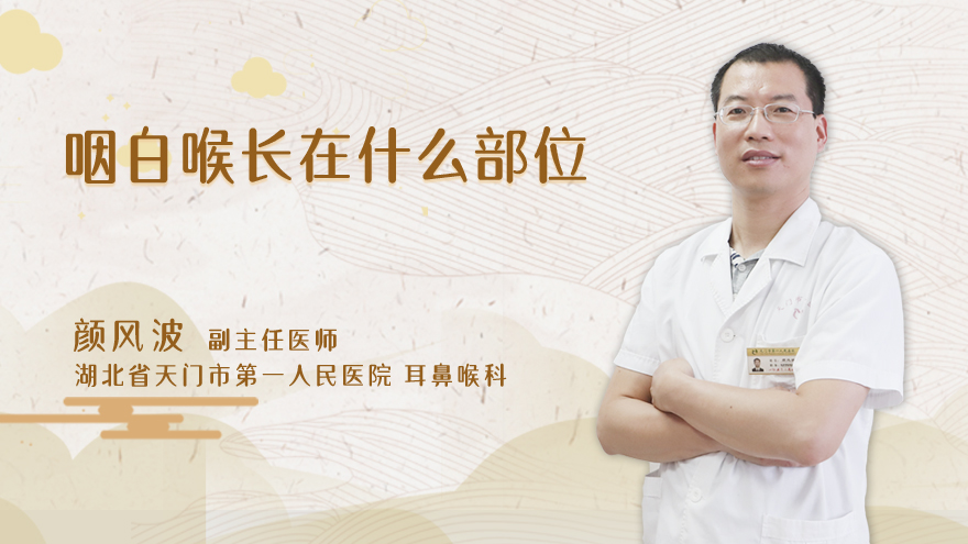 咽白喉长在什么部位