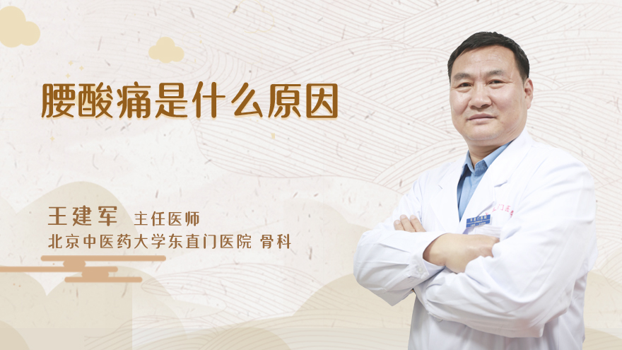 腰酸痛是什么原因