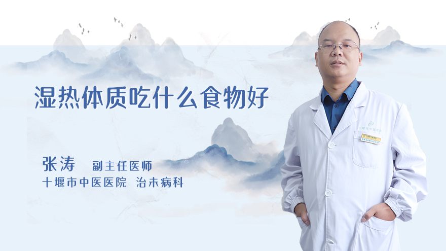 湿热体质吃什么食物好