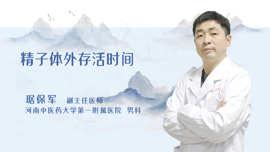 精子体外存活时间