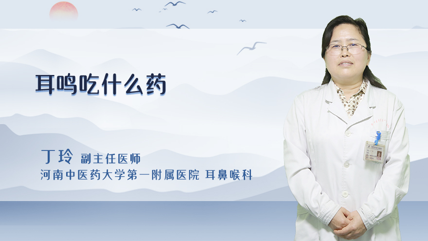 耳鸣吃什么药