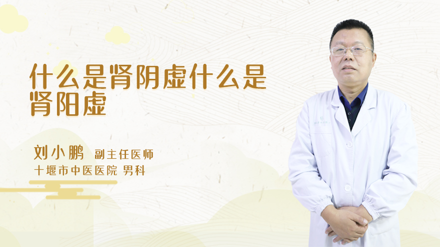 什么是肾阴虚什么是肾阳虚