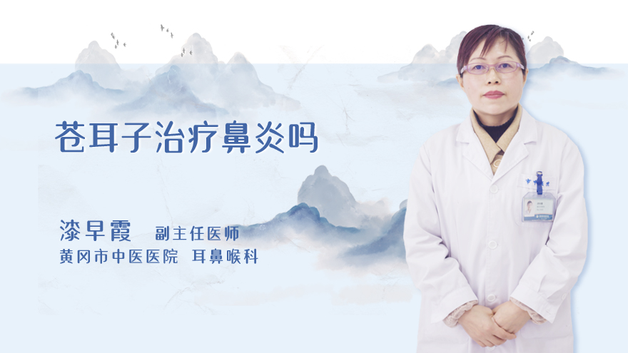 苍耳子治疗鼻炎吗
