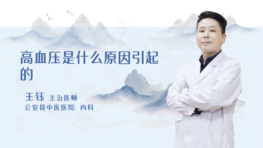 高血压是什么原因引起的