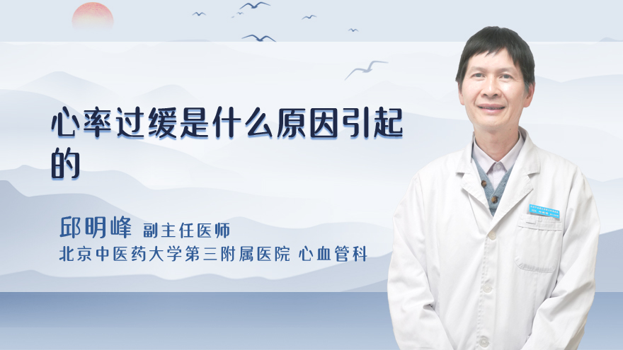 心率过缓是什么原因引起的