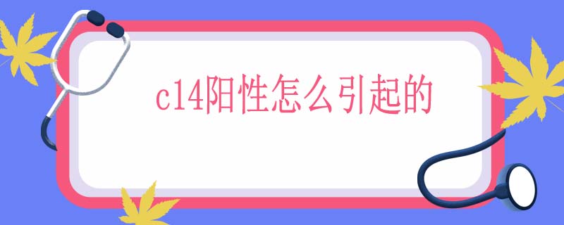 c14阳性怎么引起的