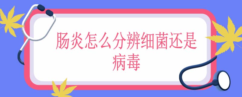 肠炎怎么分辨细菌还是病毒