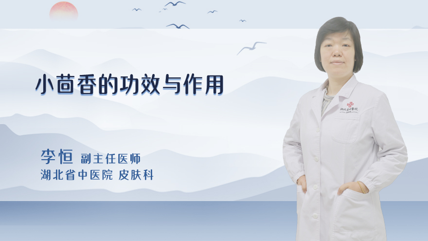 小茴香的功效与作用