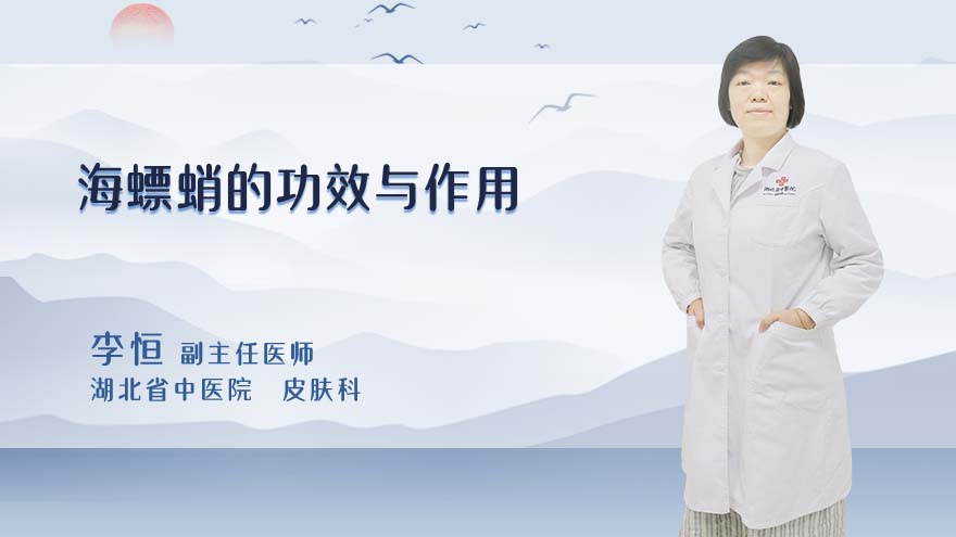 海螵蛸的功效与作用