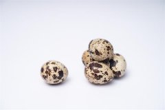 鹌鹑蛋一天吃几个合适，吃鹌鹑蛋的好处和坏处