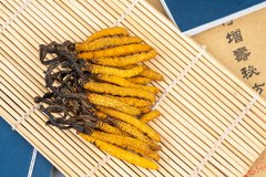 孕妇可以吃冬虫夏草吗，孕期能吃虫草花吗