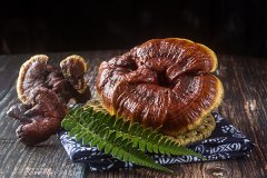 孕期可以吃灵芝吗，孕妇能吃灵芝孢子粉吗