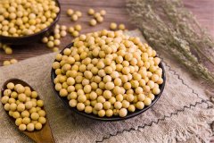 月子里喝豆浆能下奶吗，哺乳期喝花生豆浆下奶吗