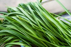 吃鹿茸不能吃什么，不能与鹿茸同吃的食物