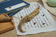 野山参和人工参的区别，野山参和林下参的区别