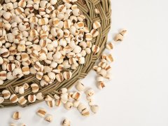 薏米和什么一起煮去湿气最好，薏米去湿气最好的食疗方