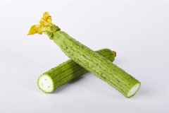 丝瓜能通乳腺吗，丝瓜能下奶吗