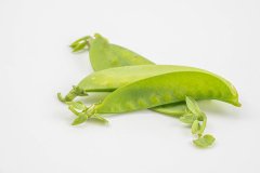 扁豆能生吃吗，扁豆焯水多久才能无毒