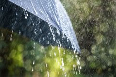 人被雨淋了如何处理对身体好，淋雨的危害